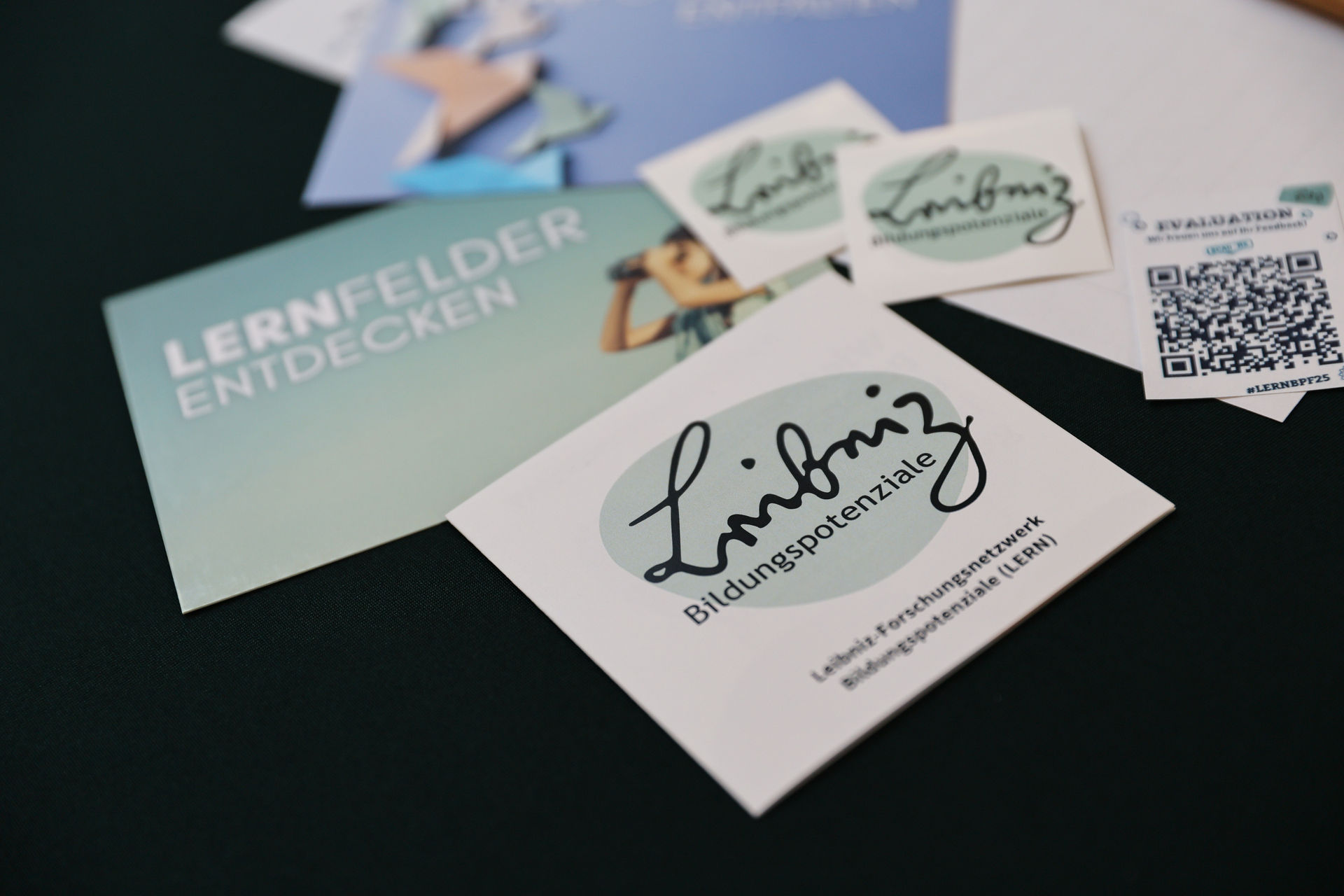 Werbematerial Leibniz Forschungsnetzwerk Bildungspotenziale